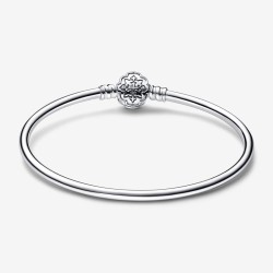 Pandora Moments Disney's Aladdin Princess Jasmine bracelet