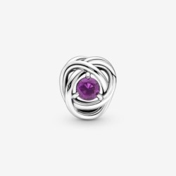 February Purple Eternity Circle Charm