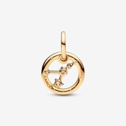 Cancer Zodiac Dangle Charm