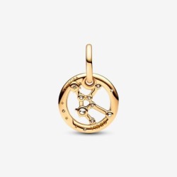 Virgo Zodiac Dangle Charm