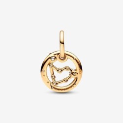 Capricorn Zodiac Dangle Charm