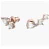 Swarovski Attract Crystal Earrings Jewelry Collection