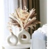 White Ceramic Vase, Modern Vase for Minimalist Decor, Hollow Round Matte Pampas Flower Vases (2pcs)